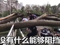 ”山竹“過(guò)后,光伏人的反思~~