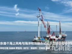 山東首個海上風(fēng)電與海洋牧場融合試驗(yàn)項目全部風(fēng)機(jī)吊裝完成 即將并網(wǎng)！