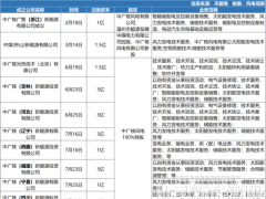 核電巨頭“十四五”收官沖刺！下半年還要裝多少風電？