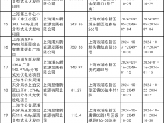 上海發布第十三批分布式光伏發電碳普惠減排項目清單