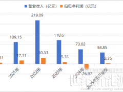 狂賺5億！無錫前首富走出“至暗時刻”