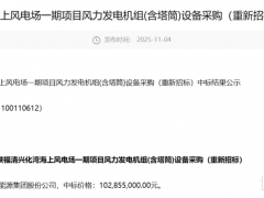 中標結果公布！三峽海上風電項目