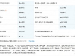 國家能源集團等成立新能源公司