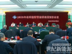 開局即決戰(zhàn)，起步即沖刺！林洋能源錨定2026經(jīng)營目標，凝聚全球化高質量發(fā)展強勁合力！