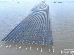 “光核”聯動！國內最大海上光伏項目再傳捷報