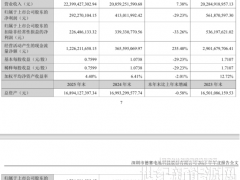 儲(chǔ)能、封裝兩手抓，點(diǎn)燃德賽電池新引擎！