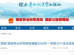 650.74畝！被官方點名：光伏項目竟成 “毀林元兇”