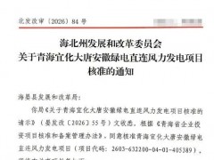 大唐600MW綠電直連風電項目獲核準